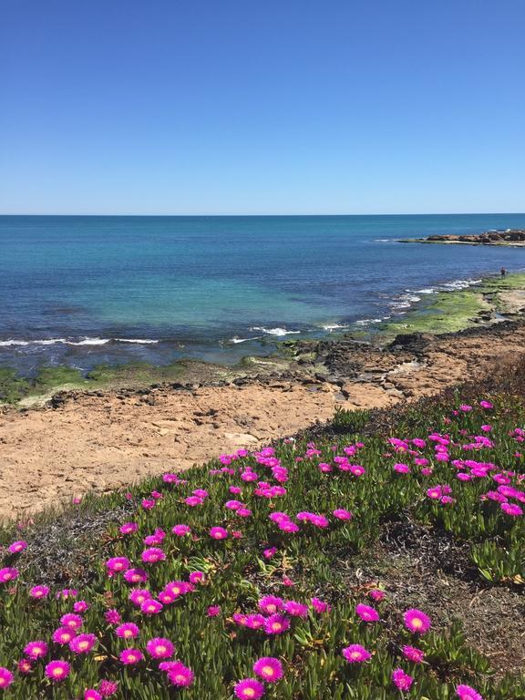 Apartament Altos De La Bahia X Torrevieja