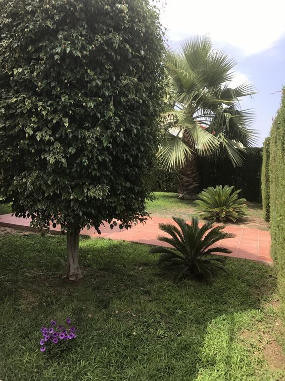 Altos De La Bahia X