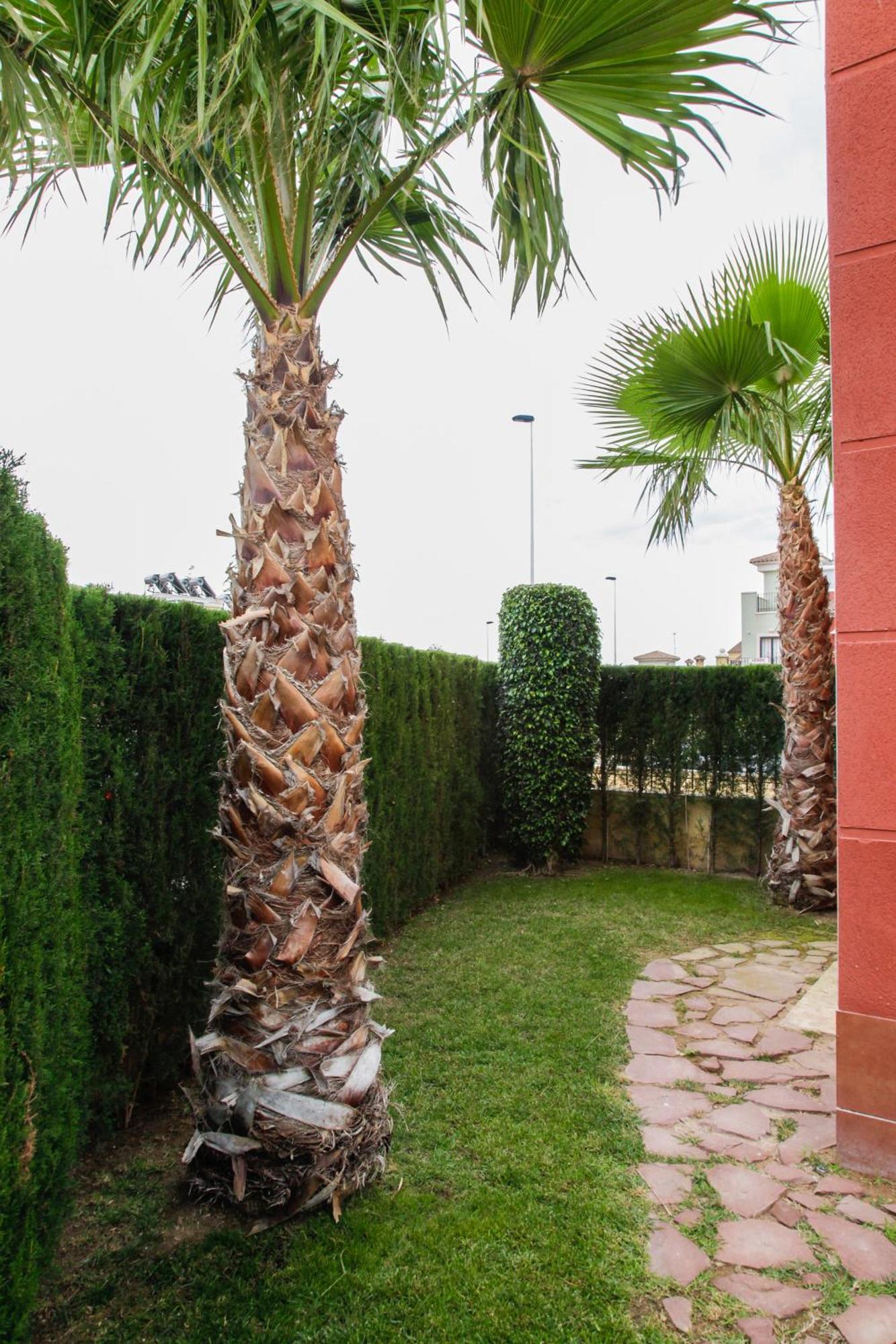 Altos De La Bahia X Torrevieja